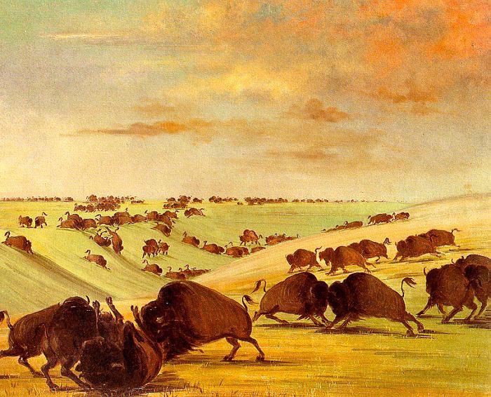 George Catlin Buffalo Bulls Fighting in Running Season-Upper Missouri Germany oil painting art